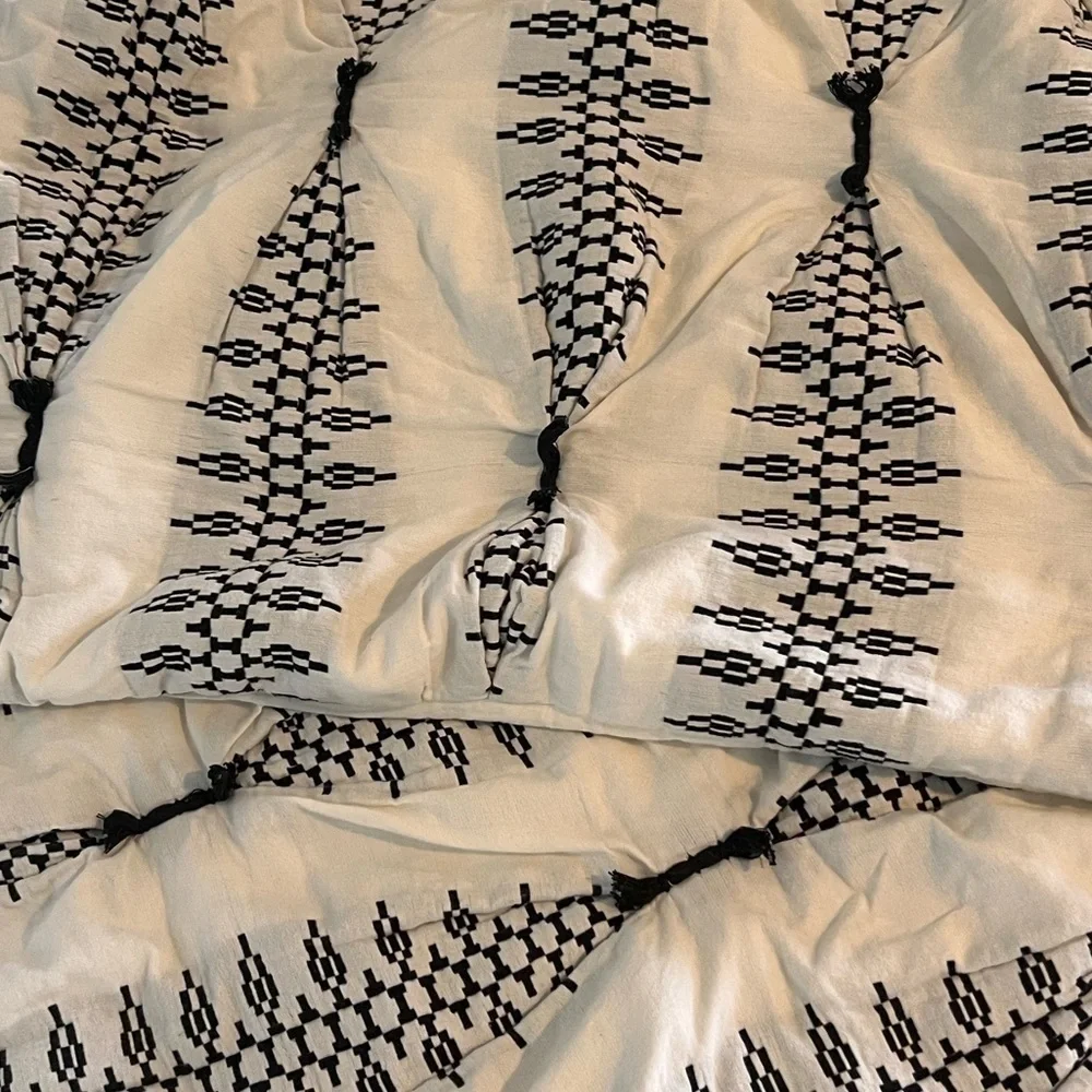 Anthropologie Embroidered Lilou Euro Shams (2) Cream and Black Design​​​​​​​​​